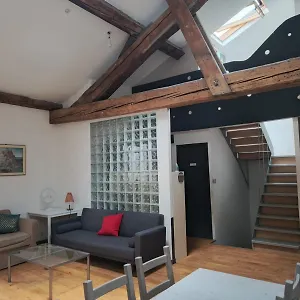 Accommodatie bij particulieren Loft Viarhona, Grand Loft En Centre-ville, Lyon